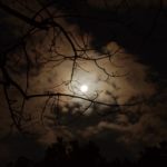 The Moon: Lyricism of Kokinshu